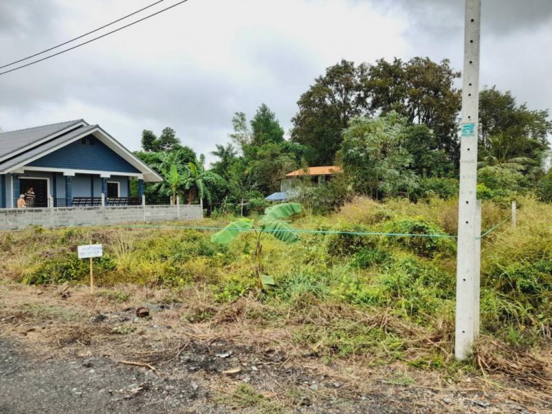 ขายที่ดินพนมสารคาม 110 ตรว. ซอยบ้านคูเมืองใกล้ตลาดสดเกาะขนุน-1กม. จ.ฉะเชิงเทรา