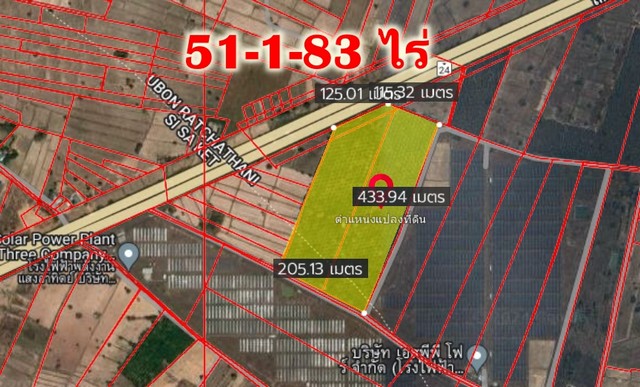 ขายด่วนที่ดินสวนปาล์ม 51-1-83 ไร่ ติดถนน 24 โชคชัย – เดชอุดม.