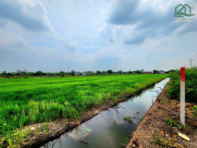 ขายที่ดิน 5 ไร่ คลอง 12 หนองเสือ ติดถนน 2 ด้าน.