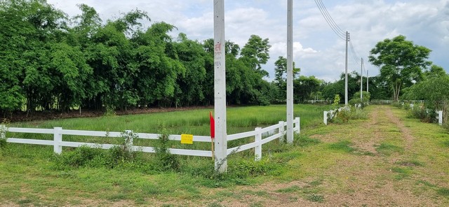 ขายที่ดินน้ำไฟพร้อม คลองสิบสาม บึงน้ำรักษ์ ธัญบุรี 170-200 ตรว..