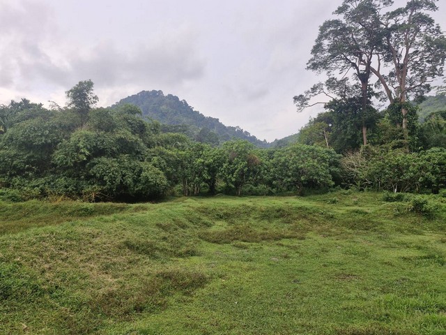 ขายที่ดิน บ้านลิพอน-ควนตาแท่น อำเภอถลาง จังหวัดภูเก็ต.