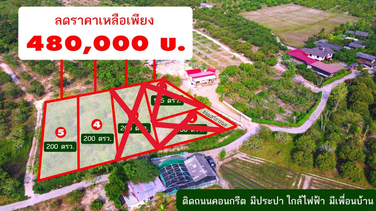 ขายที่ดินแบ่งเริ่ม 200ว. 480,000บ. ต.ทุ่งปี๊ อ.แม่วาง เชียงใหม่.