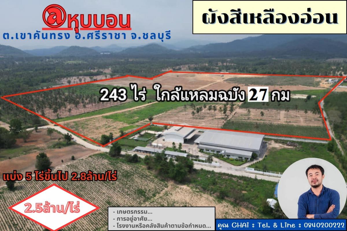 Vายที่ดิน 243 ไร่ @หุบบอน ต.เขาคันทรง อ.ศรีราชา จ.ชลบุรี ใกล้แหลมฉบัง 27 กม. 