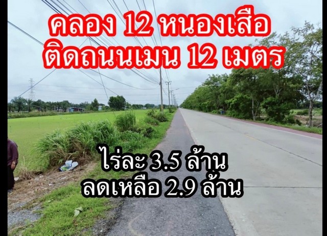 ขายที่ดิน คลอง 12 ตำบลสามวัง อำเภอหนองเสือ จังหวัดปทุมธานี.