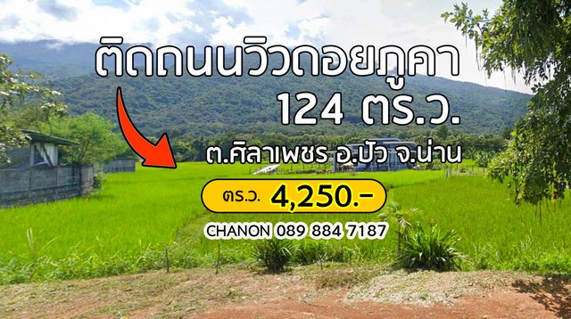 ที่ดินติดถนนใหญ่วิวดอยภูคา ทำเลสวย ติดถนน   .