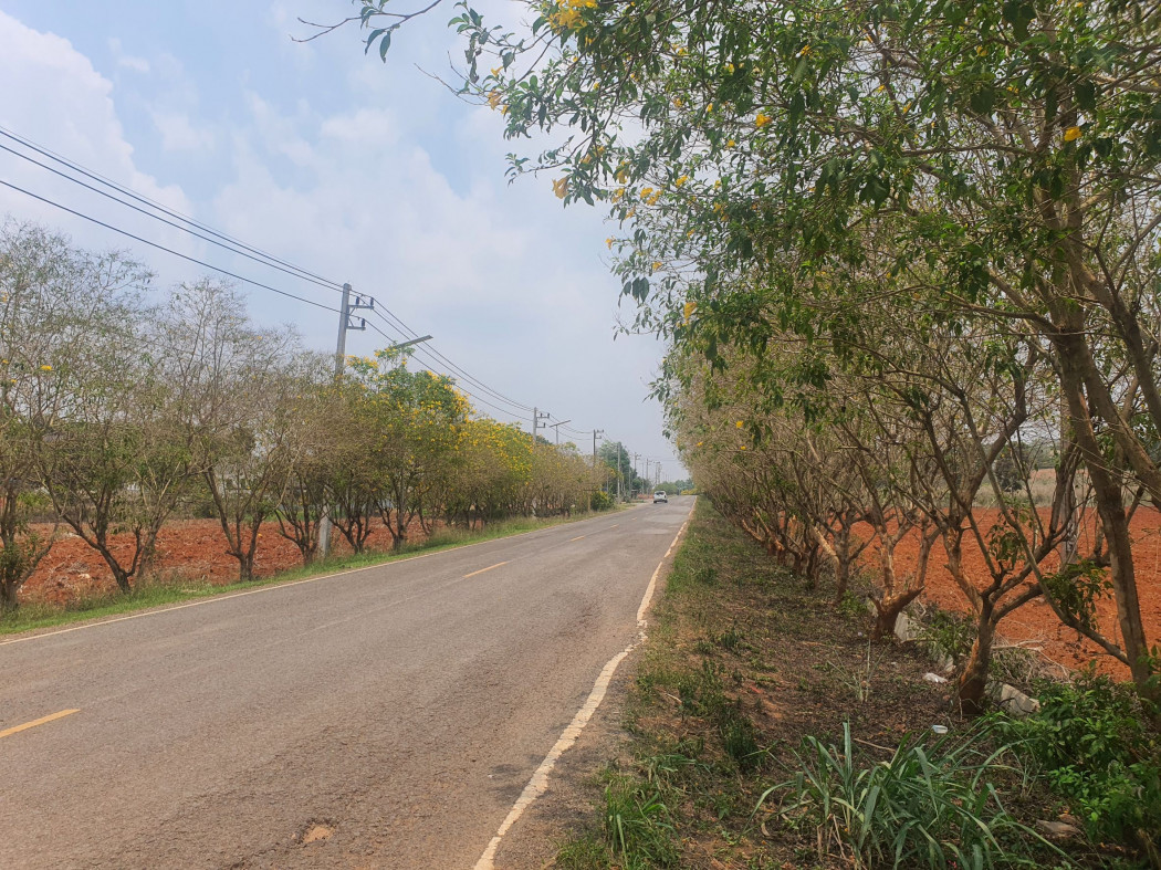 ขาย ที่ดิน เขาใหญ่ ต.​วังกะทะ​ อ.ปากช่อง 12 ไร่ ​เห็นทิวเขา สวยสุดๆ