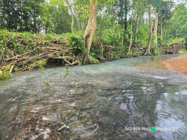 ขายที่ติดลำธาร 1 ไร่ ต.นาหินลาด อ.ปากพลี จ.นครนายก  .