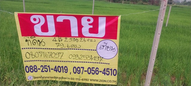 ขายที่ดินเปล่า พื้นที่ 4ไร่ 2งาน 95.9ตรว  ใกล้หอพักจิรา  บ่อแฮ้ว   .