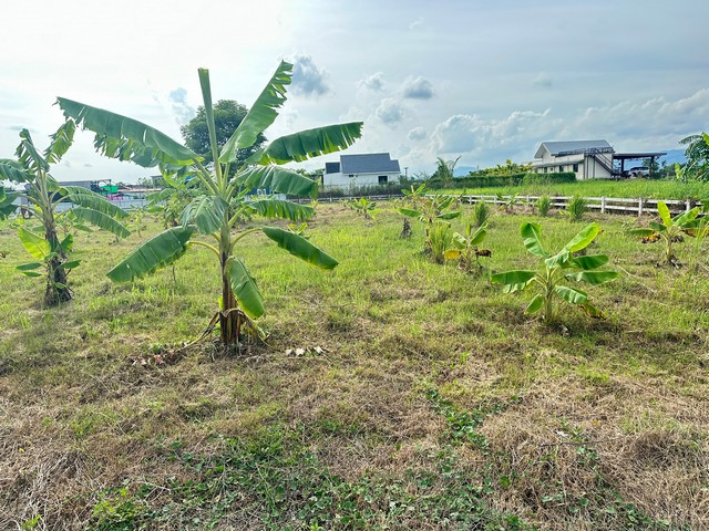 เปิดขายที่ดินถมแล้ว วิวเขาใหญ่ ใกล้คลอง นครนายก  .