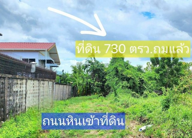 ขายที่ดิน 730 ตรว.ถนนเพชรเกษม77 ที่ถมแล้ว ขายเพียง 17,000/ตรว.  .