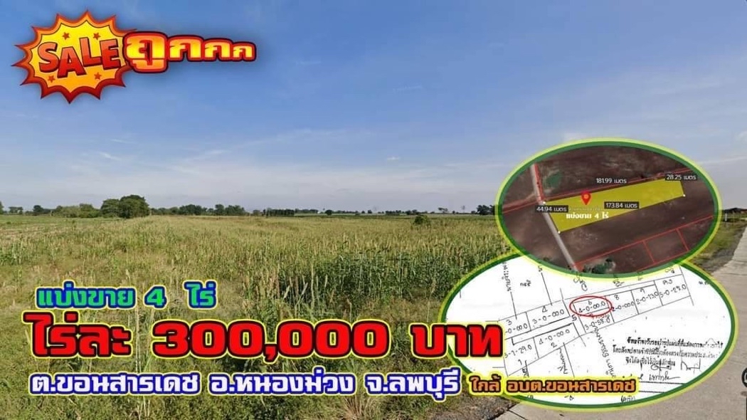 ขาย ที่ดิน ขายที่ดินเปล่า อ.หนองม่วง จ.ลพบุรี 4 ไร่