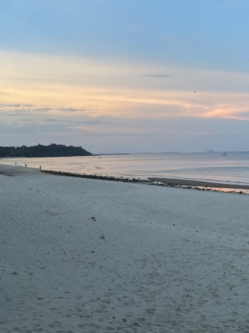 ทรัพย์ขายเช่าเอาใจลูกค้าต่อได้ ขายที่สวย ใกล้หาดสะพลี  .