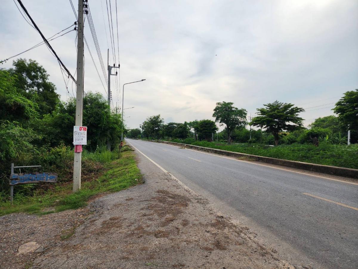 ขาย ที่ดินราคาถูก จ.ปทุมฯ อ.หนองเสือ ต.บึงกาสาม ขนาด 100 ตรว.