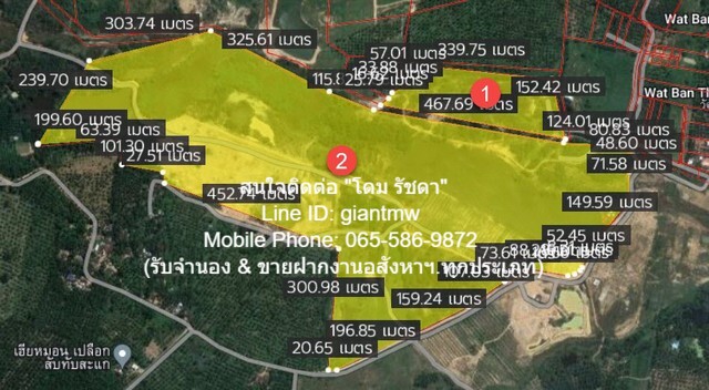 ที่ดินเปล่า อ.ทับสะแก 31-0-70 ไร่ (โฉนดครุฑแดง พร้อม ใบ ร.ง.4)  .