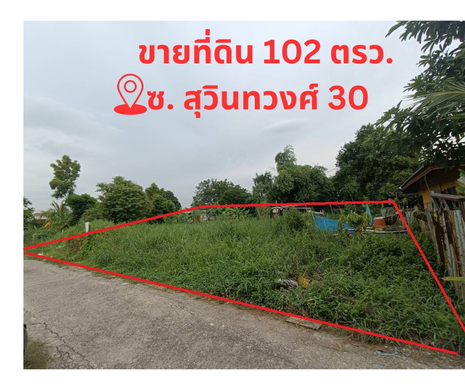 ขายที่ดิน ซอยสุวินทวงศ์ 30   .