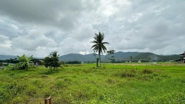 ที่ดินแปลงสวย  วิวเขา แหล่งชุมชน แม่ออน เชียงใหม่    .