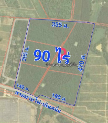 ขายที่ดินบ้านบึง 90 ไร่ ผังสีเหลืองeec ต.หนองอิรุณ อ.บ้านบึง จ.ชล  .