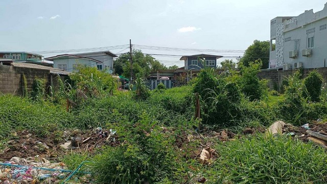 ที่ดินถมแล้ว ซอย ประชาอุทิศ 61 แยก 2 หลังตลาดสด 61 ห่าง 100   .