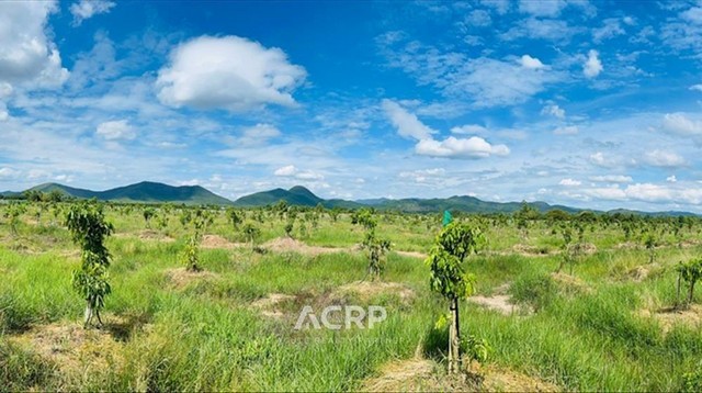 ขายที่ดิน ตำบลมะเขือแจ้ เมืองลำพูน  ขนาด 15 ไร่  .