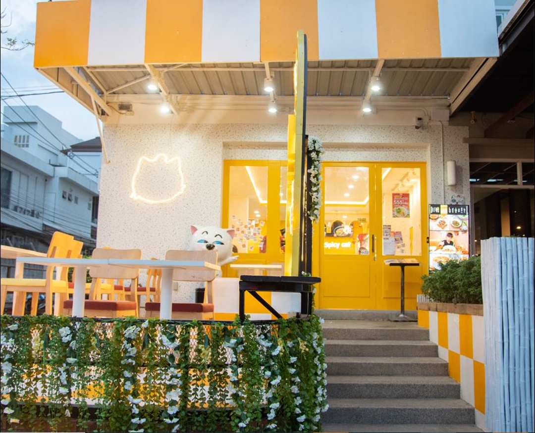 เซ้งร้านอาหาร เชียงใหม่ ตึกใบหยกจ๊าว ใจกลางเมือง ใกล้แหล่งท่องเที  .