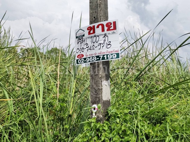 ที่ดินเปล่า 100 ตร.ว. คลอง 5 คลองหลวง - ปทุมธานี    .