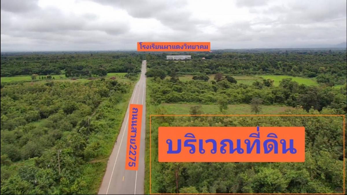 ขายที่ดินพร้อมไม้สักทอง 13 ปี อำเภอหล่มสัก จังหวัดเพชรบูรณ์   .