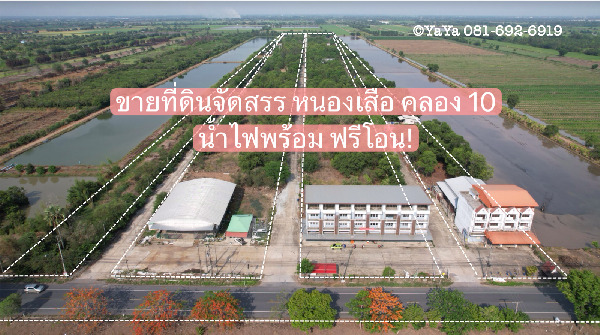  ขาย ที่ดินจัดสรร ต.บึงบา อ.หนองเสือ คลอง 10  .