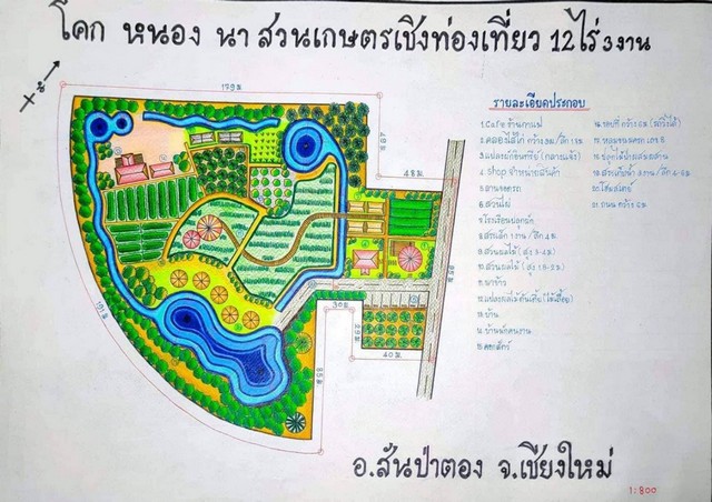 ขายที่ดินตำบลบ้านกลาง อำเภอสันป่าตอง จังหวัดเชียงใหม่ เนื้อที่ 13  .