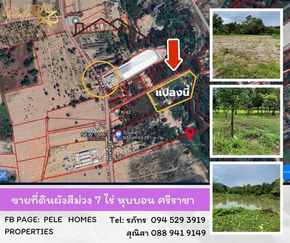 ขายที่ดินผังสีม่วงถมแล้ว 7 ไร่ หุบบอน อำเภอศรีราชา ชลบุรี   .