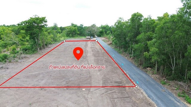 ขายที่ดิน พิกัดคลอง 10 บึงบา หนองเสือ ปทุมธานี     .