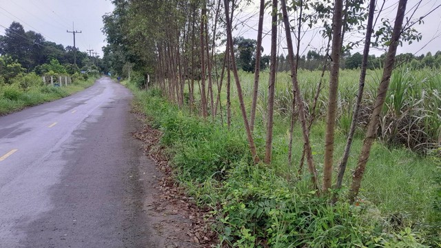 ขายที่ดินด่วน บ้านหนองหอย อำเภอกบินทร์บุรี จังหวัดปราจีนบุรี   .