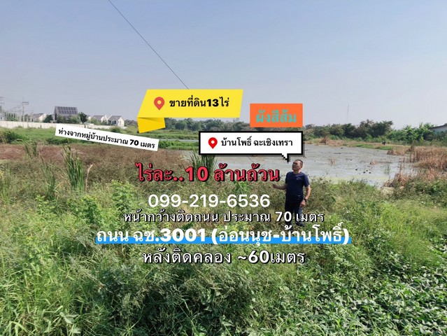 ที่ดินบ้านโพธิ์ฉะเชิงเทรา 13-2-99 ไร่  ผังสีส้ม  .