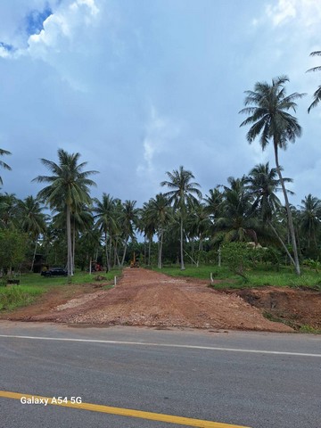 หาทรัพย์ดีดีท้าลมหนาว ขายที่สวย ใกล้หาดสะพลี วาละ12000  .