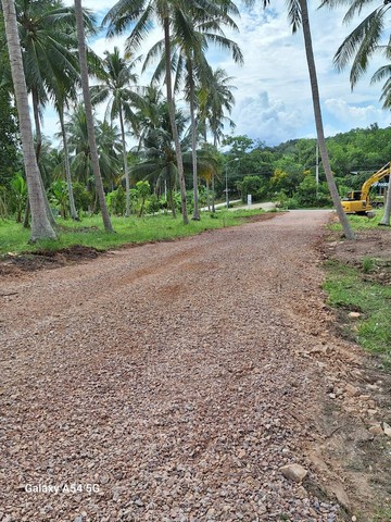 ซื้อขายบ้านที่ดินเจ้าของขายเอง ขายที่สวย ใกล้หาดสะพลี วาละ12000  .