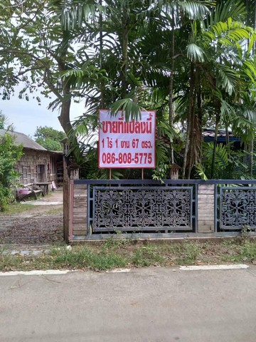 ขายที่ดินโฉนดใกล้หาดเฉวง อำเภอเกาะสมุย จังหวัดสุราษฎร์ธานี   .