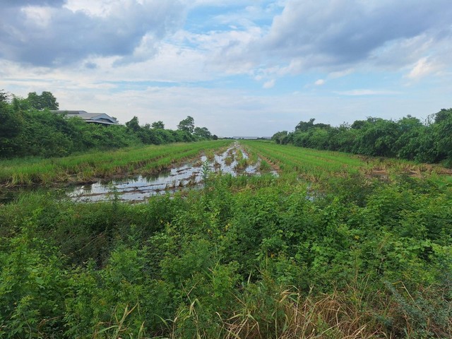 ขายที่ดินสวยทำเลดี  ต. บึงทองหลาง อ. ลำลูกกา จ. ปทุมธานี  .