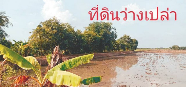 ลมหนาวพาซื้อทรัพย์ดีมีคุณค่า  ที่ดิน แบ่งขาย ลาดหลุมแก้ว   .