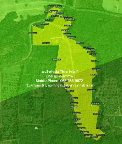 ขายที่ดินสวนผลไม้ปลอดสารพิษ อ.ประจันตคาม จ.ปราจีนบุรี 57-0-90.4 ไ  .