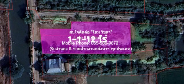 ขายที่ดินเปล่า (แปลงมุม) แถวคลองประปามหาสวัสดิ์ อ.บางใหญ่ 1-1-12   .