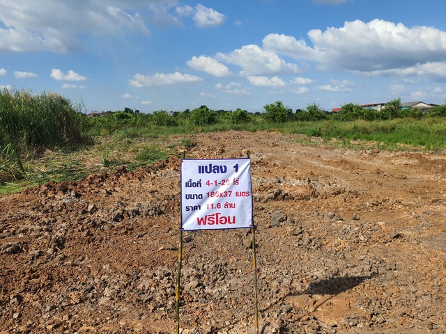 ขายที่ดิน คลอง12 ลำลูกกา จ.ปทุมธานี   .