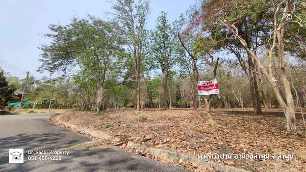 ขายที่ดิน 344 ตร.ว. ใกล้ศูนย์ราชการจังหวัดลำพูน (แห่งใหม่)   .