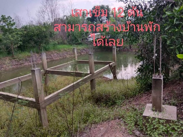 ขายที่ดิน ประจันตคาม 9 ไร่ 2 งาน (โคกหนองนา)  .