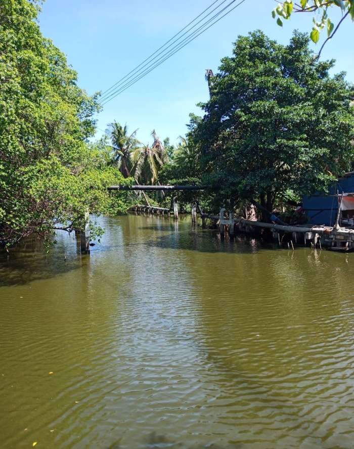 ขายที่ดินถมแล้วติดคลองพระสะทึงและติดถนนสาธารณะ เนื้อที่ 41 ไร่เศษ (แบ่งขายได้)  ต.สระแก้ว อ.เมือง จ.สระแก้ว