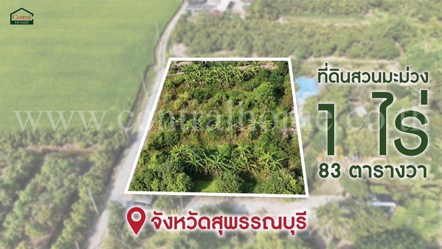 ที่ดินสวนมะม่วง โพธิ์พระยา เมืองสุพรรณบุรี ใกล้ตัวเมือง  .