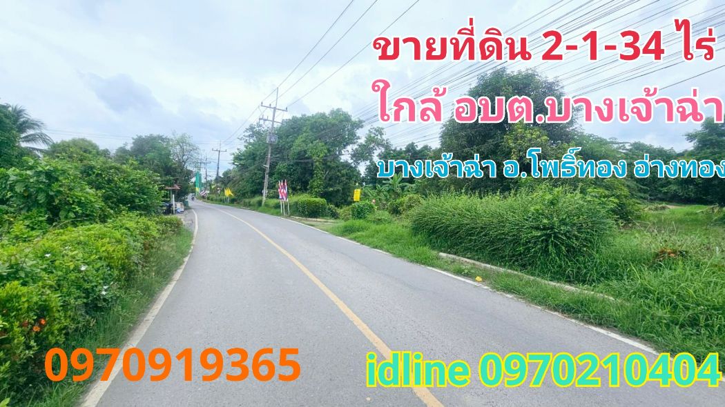 ขาย ที่ดิน ติดถนน ใกล้แหล่งชุมชนบางเจ้าฉ่า 2 ไร่ 1 งาน 34 ตร.วา อ.โพธิ์ทอง จ.อ่างทอง: PR_aa00000592413