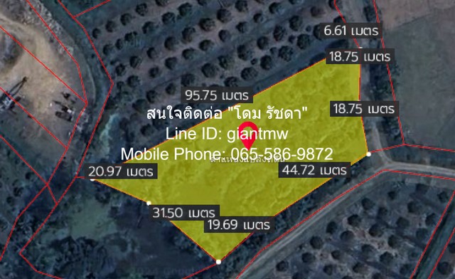 ขายที่ดินสวนลำไย ต.ขุนคง อ.หางดง จ.เชียงใหม่ (น.ส.4 จ) 2 ไร่, 2.5  .