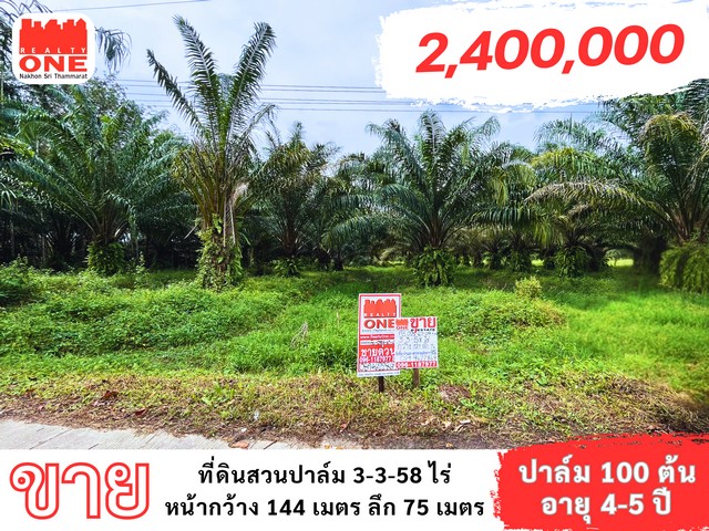 ที่ดินสวนปาล์ม เนื้อที่ 3-3-58 ไร่ ต.กะหรอ อ.นบพิตำ จ.นครศรีธรรมร  .