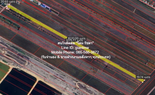 ขายที่ดินทุ่งนาติดถนน ต.คลองเปร็ง อ.เมืองฉะเชิงเทรา 13-0-24.9 ไร่  .