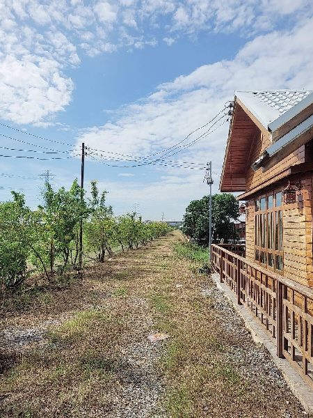 ขายที่ดิน เปล่า ตำบล ระแหง อำเภอ ลาดหลุมแก้ว จังหวัด ปทุมธานี   .