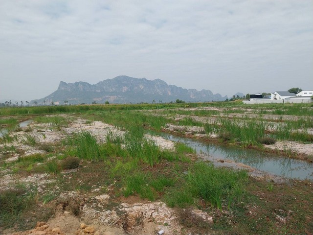 ขายที่ดินเปล่า วิวภูเขา ใกล้หาดชะอำ    .